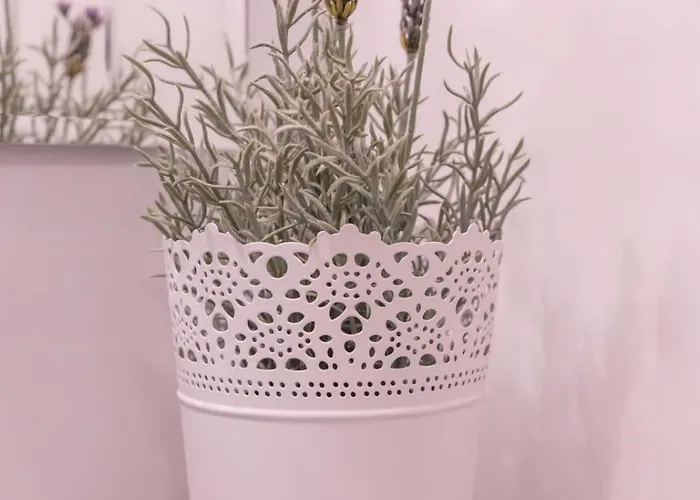 3 Am Petersberg * Neef